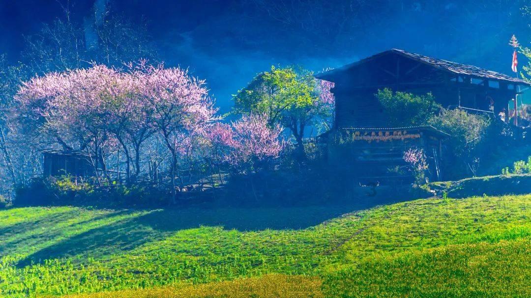 逃离陈旧房4